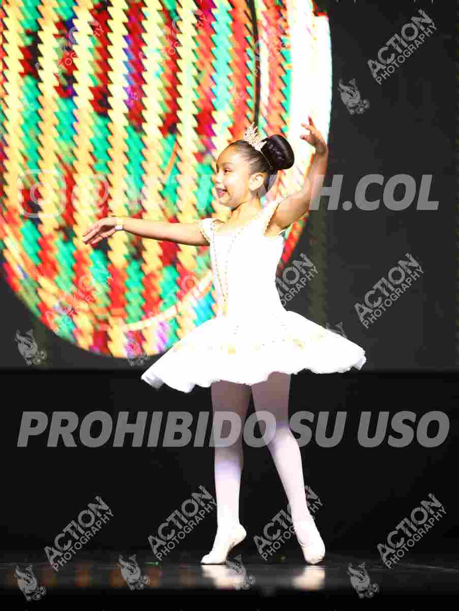 8V3A2522 (Copiar).JPG